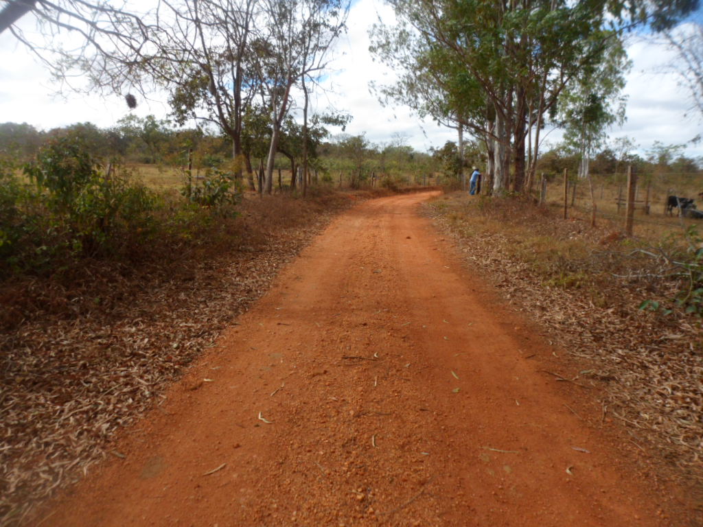 F-13 Fazenda 30 ha Curvelo