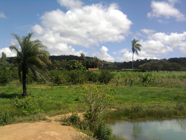 F-14 Fazenda 125 ha Paraopeba