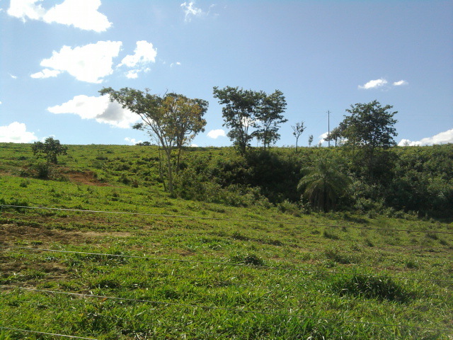 F-10 Fazenda 100 ha Cordisburgo