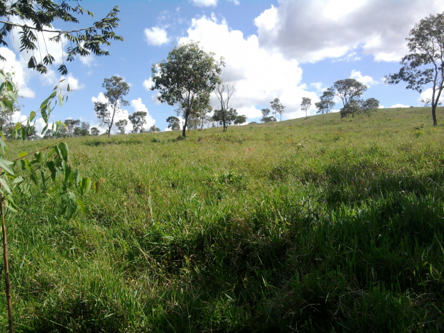 F-10 Fazenda 100 ha Cordisburgo