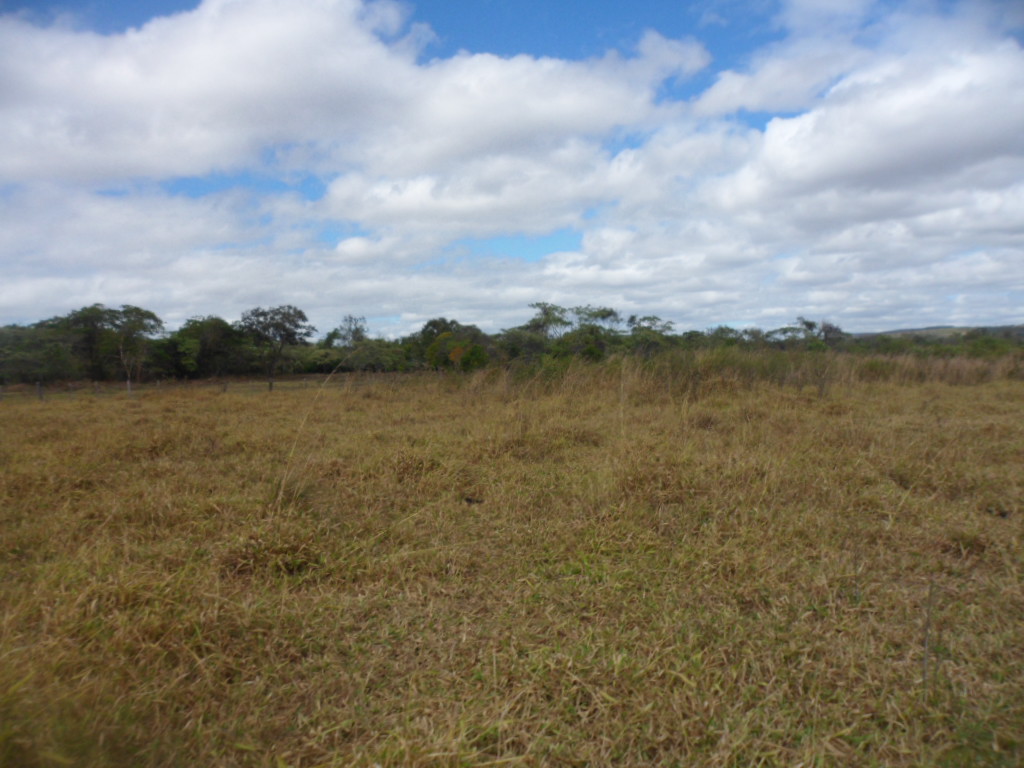 F-13 Fazenda 30 ha Curvelo