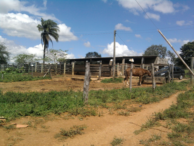 F-14 Fazenda 125 ha Paraopeba