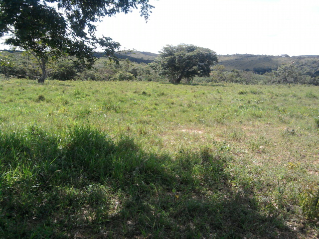 F-10 Fazenda 100 ha Cordisburgo