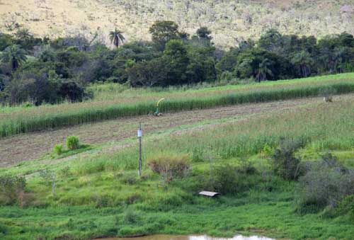 F-05 Fazenda 270 ha Paraopeba