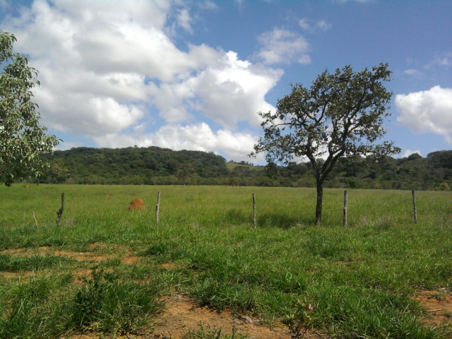 F-14 Fazenda 125 ha Paraopeba