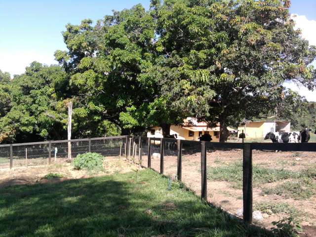 F-10 Fazenda 100 ha Cordisburgo