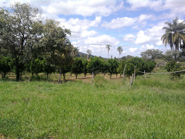 F-14 Fazenda 125 ha Paraopeba