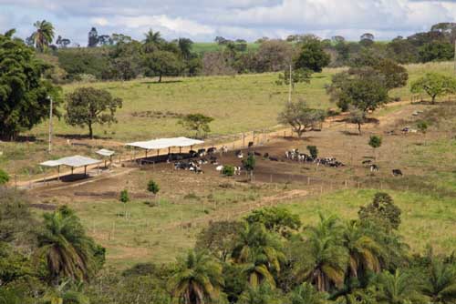 F-05 Fazenda 270 ha Paraopeba