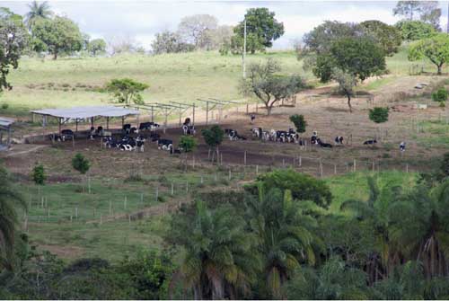 F-05 Fazenda 270 ha Paraopeba