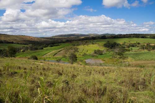 F-05 Fazenda 270 ha Paraopeba