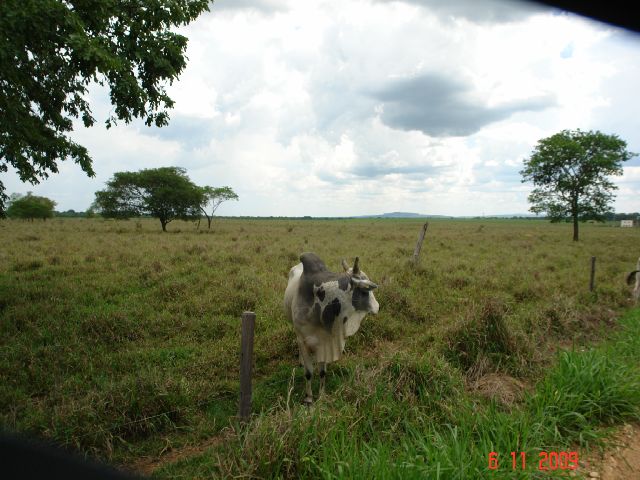 F-09 Fazenda 9.737 ha Buritizeiro