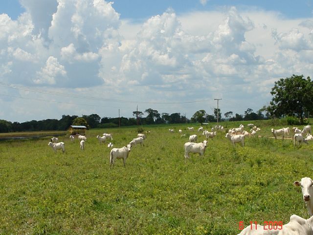 F-09 Fazenda 9.737 ha Buritizeiro