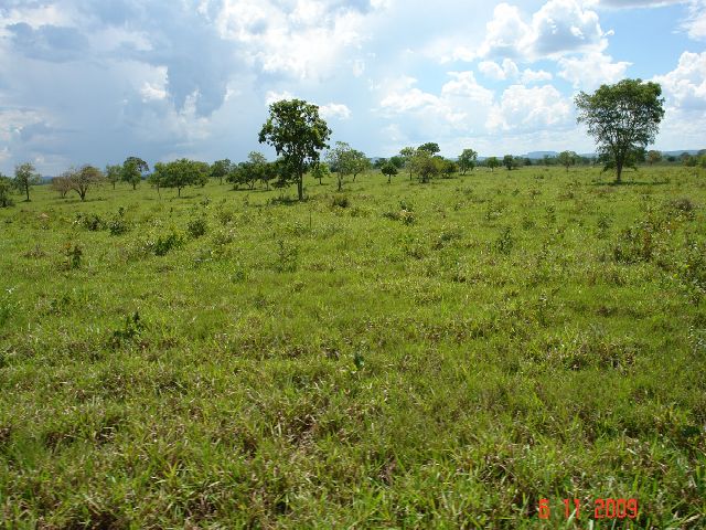 F-09 Fazenda 9.737 ha Buritizeiro