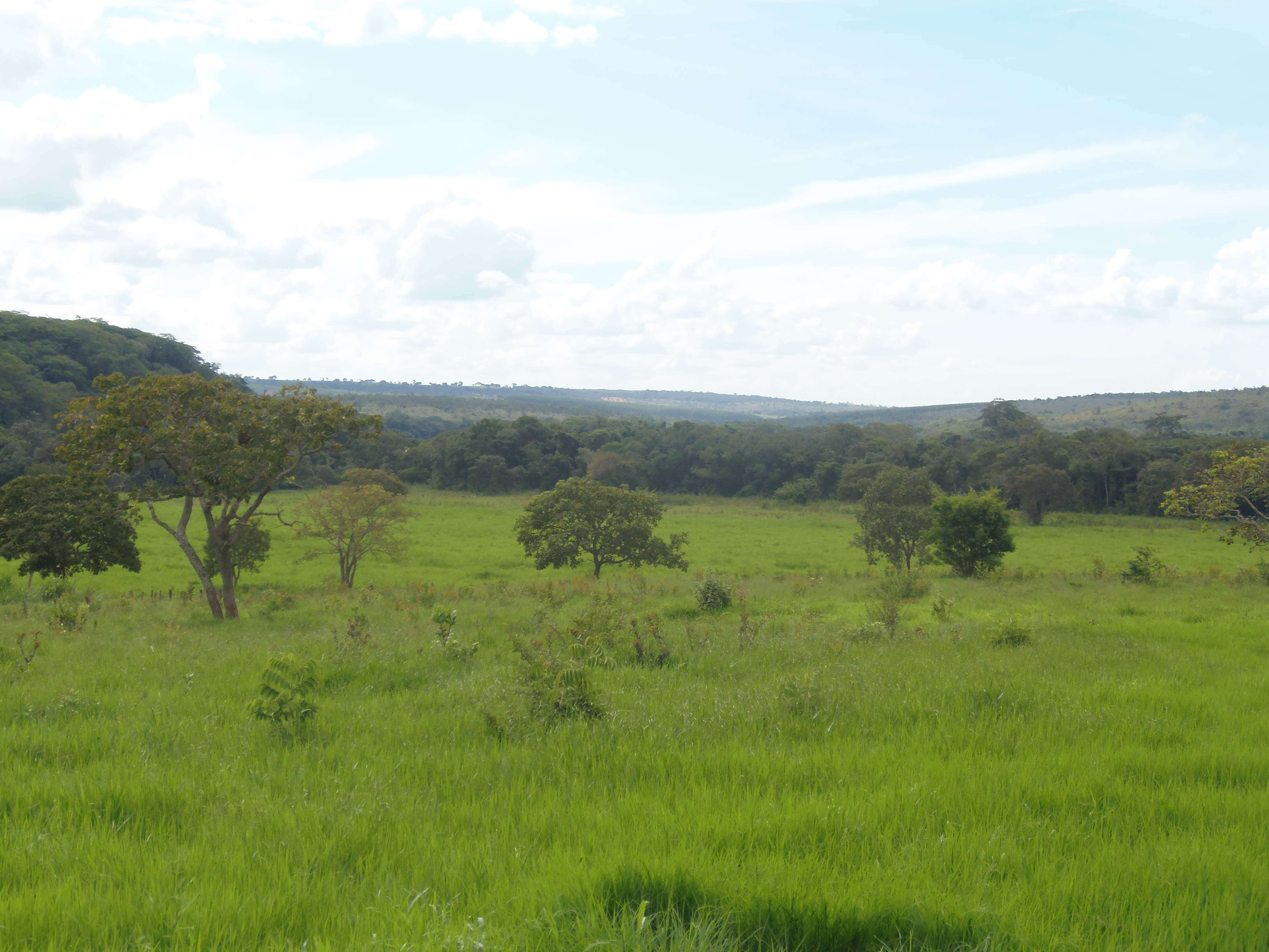 F-17 Fazenda 400 ha Martinho Campos