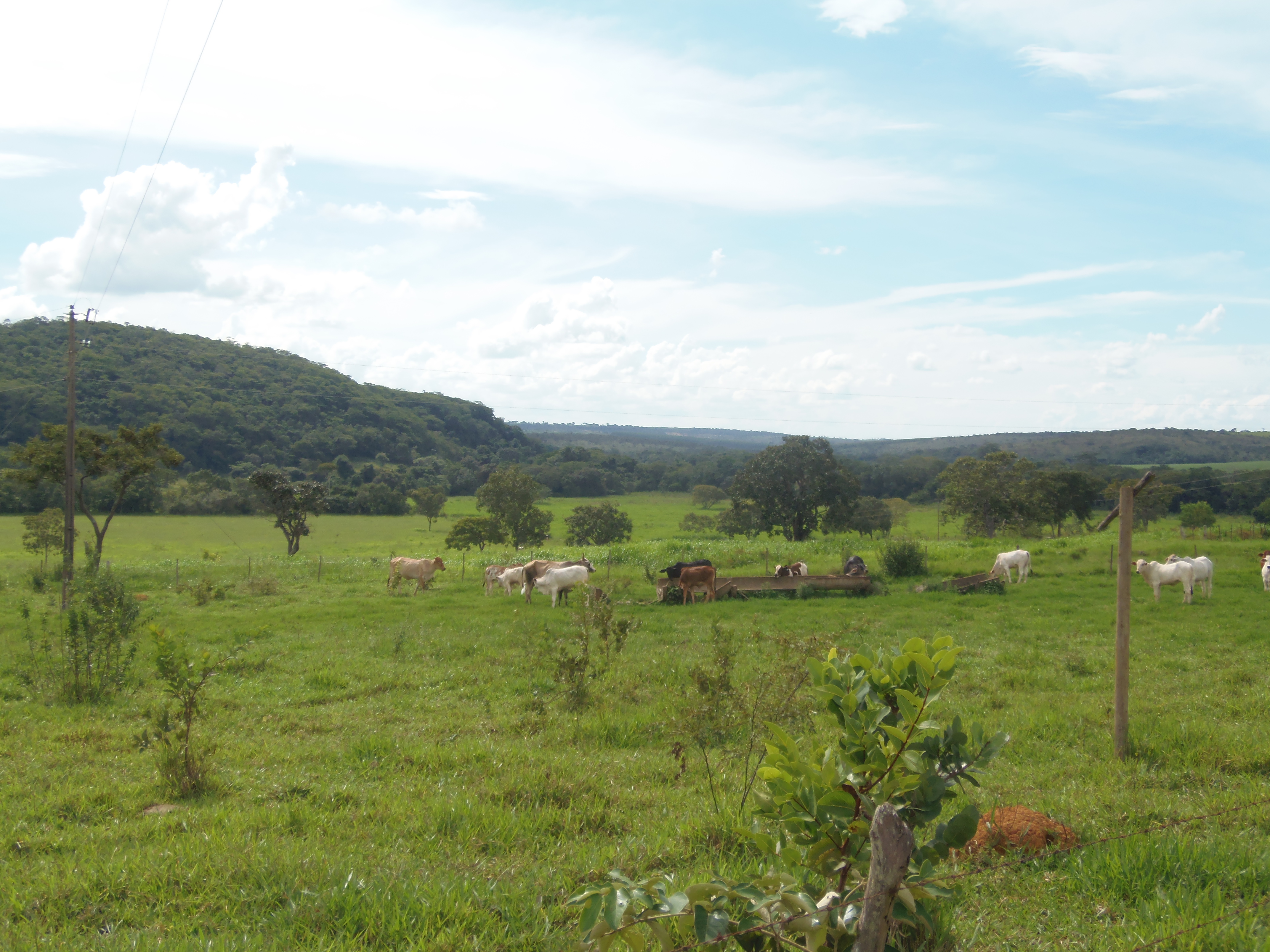 F-17 Fazenda 400 ha Martinho Campos