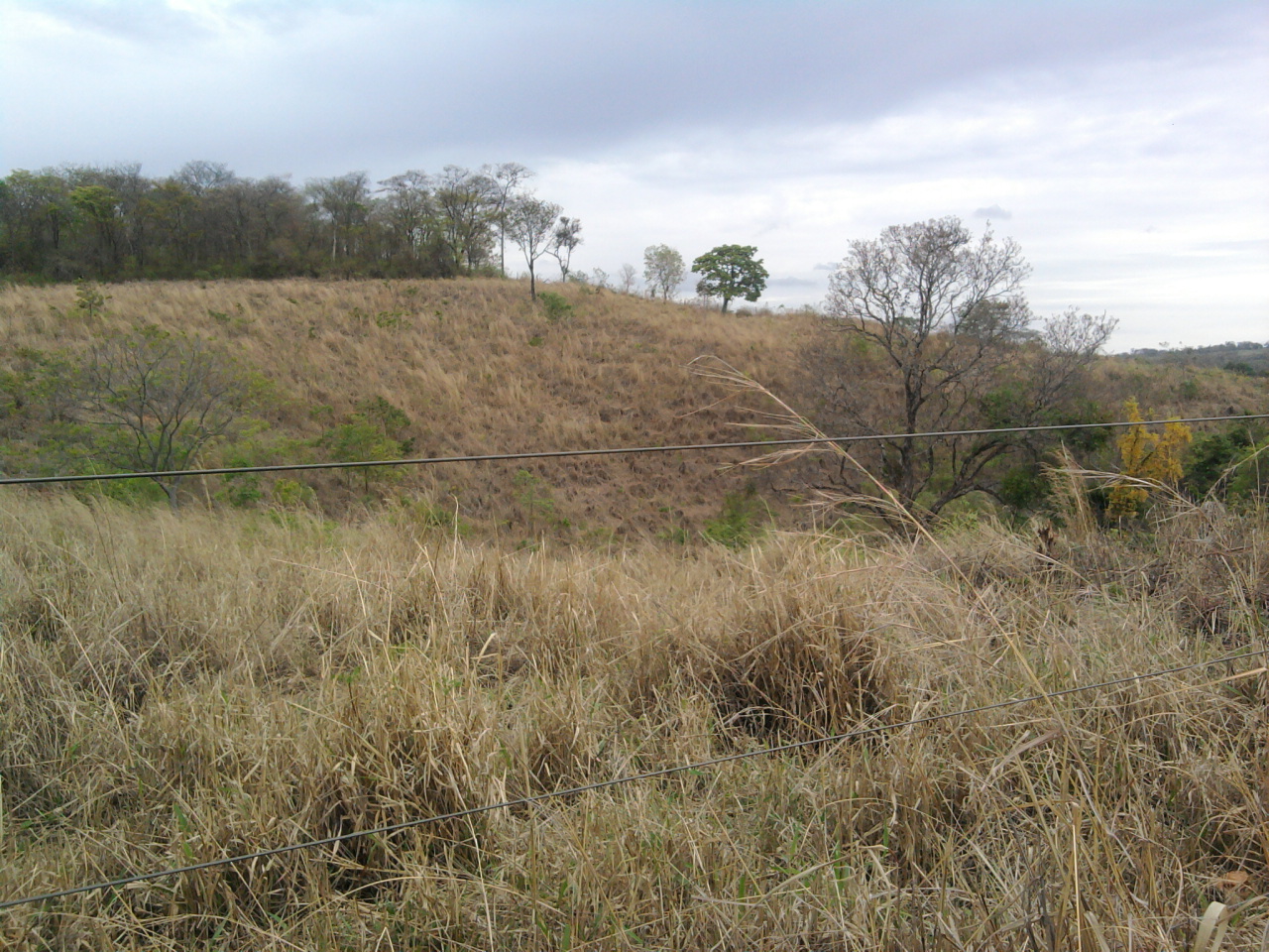 F-12 Fazenda 680 ha Curvelo