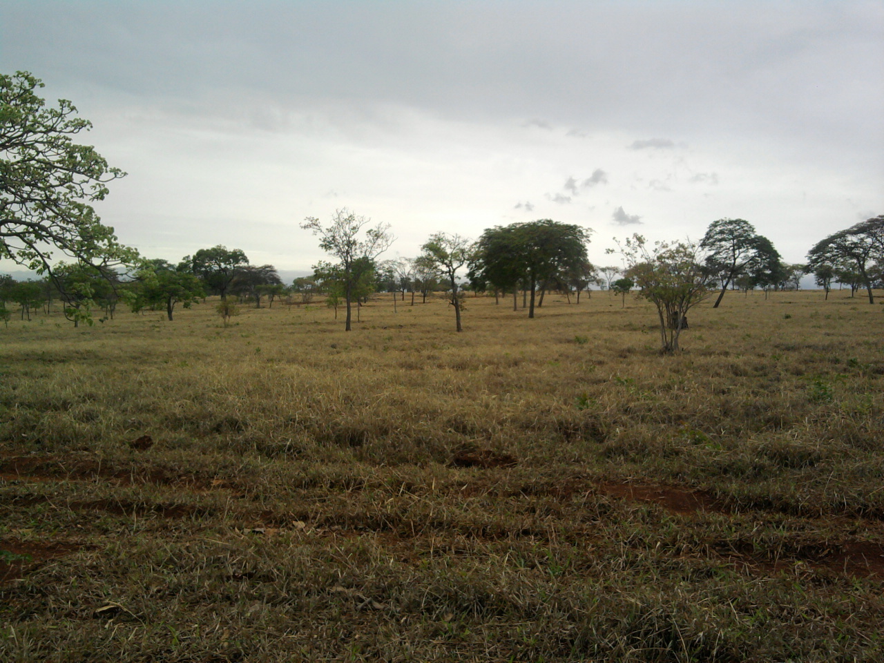 F-12 Fazenda 680 ha Curvelo