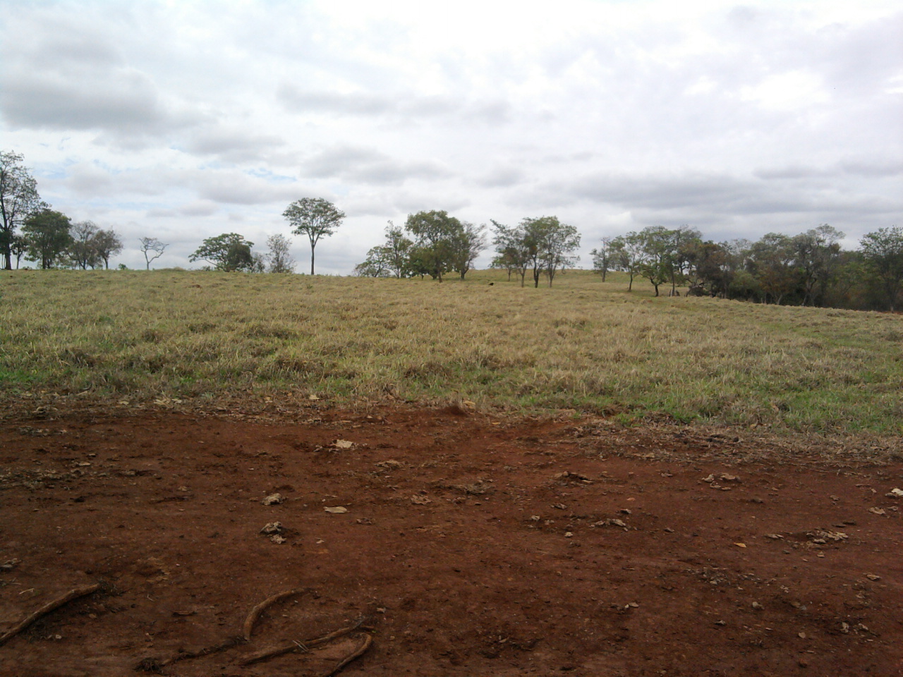 F-12 Fazenda 680 ha Curvelo