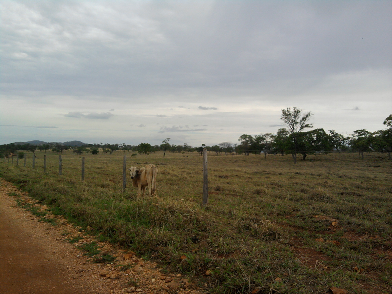 F-12 Fazenda 680 ha Curvelo