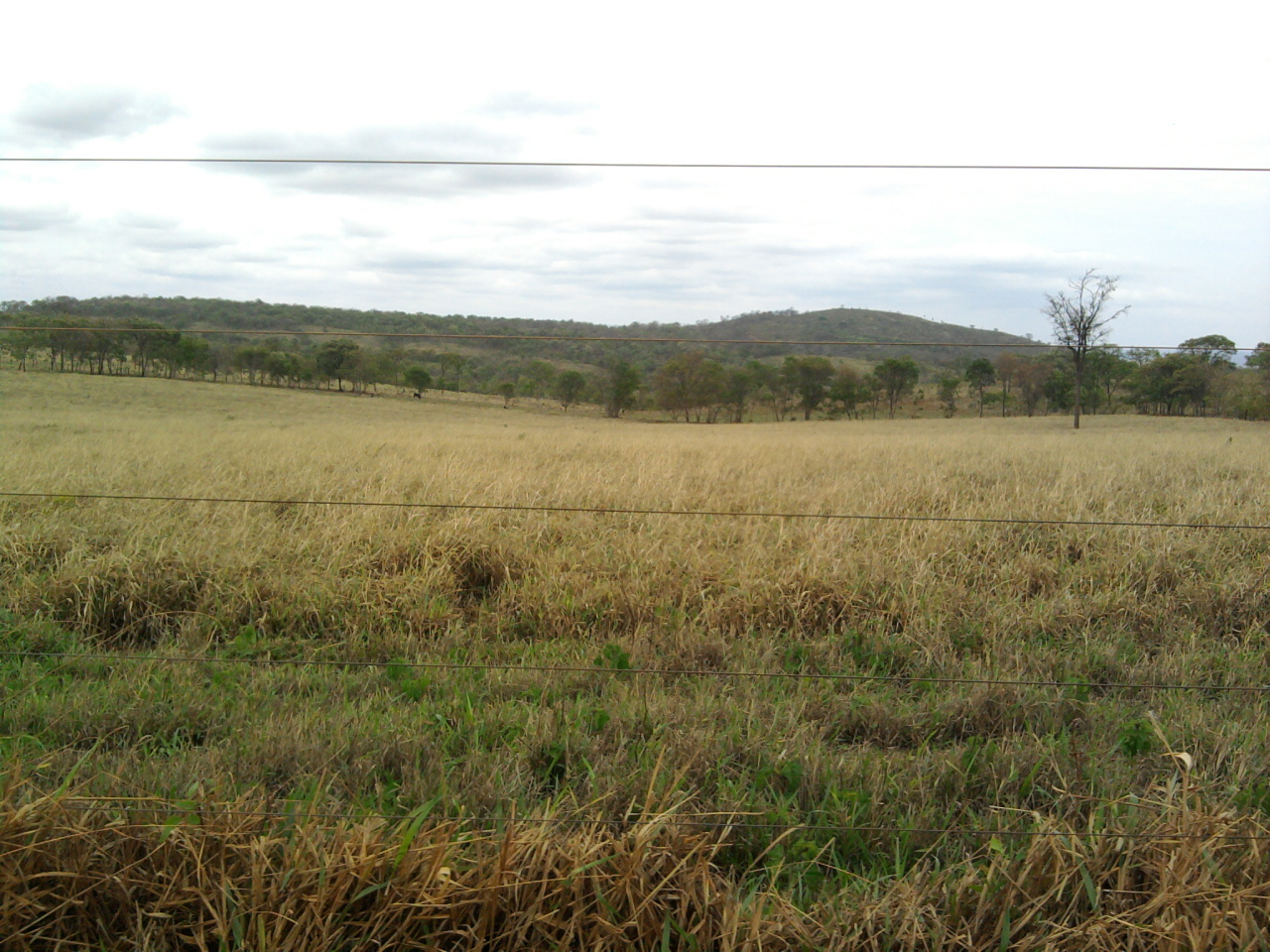 F-12 Fazenda 680 ha Curvelo