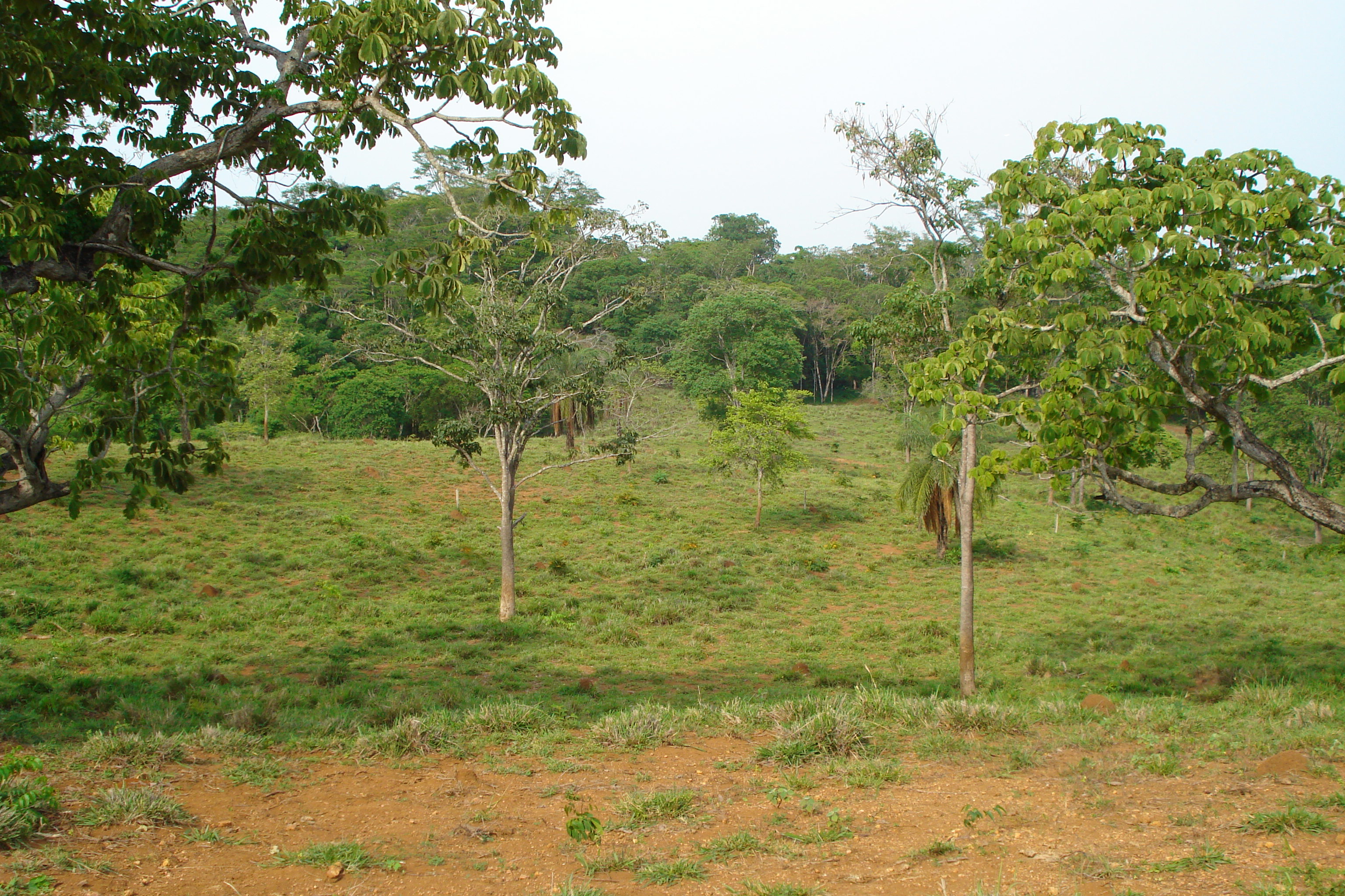 F-27 Fazenda 250ha