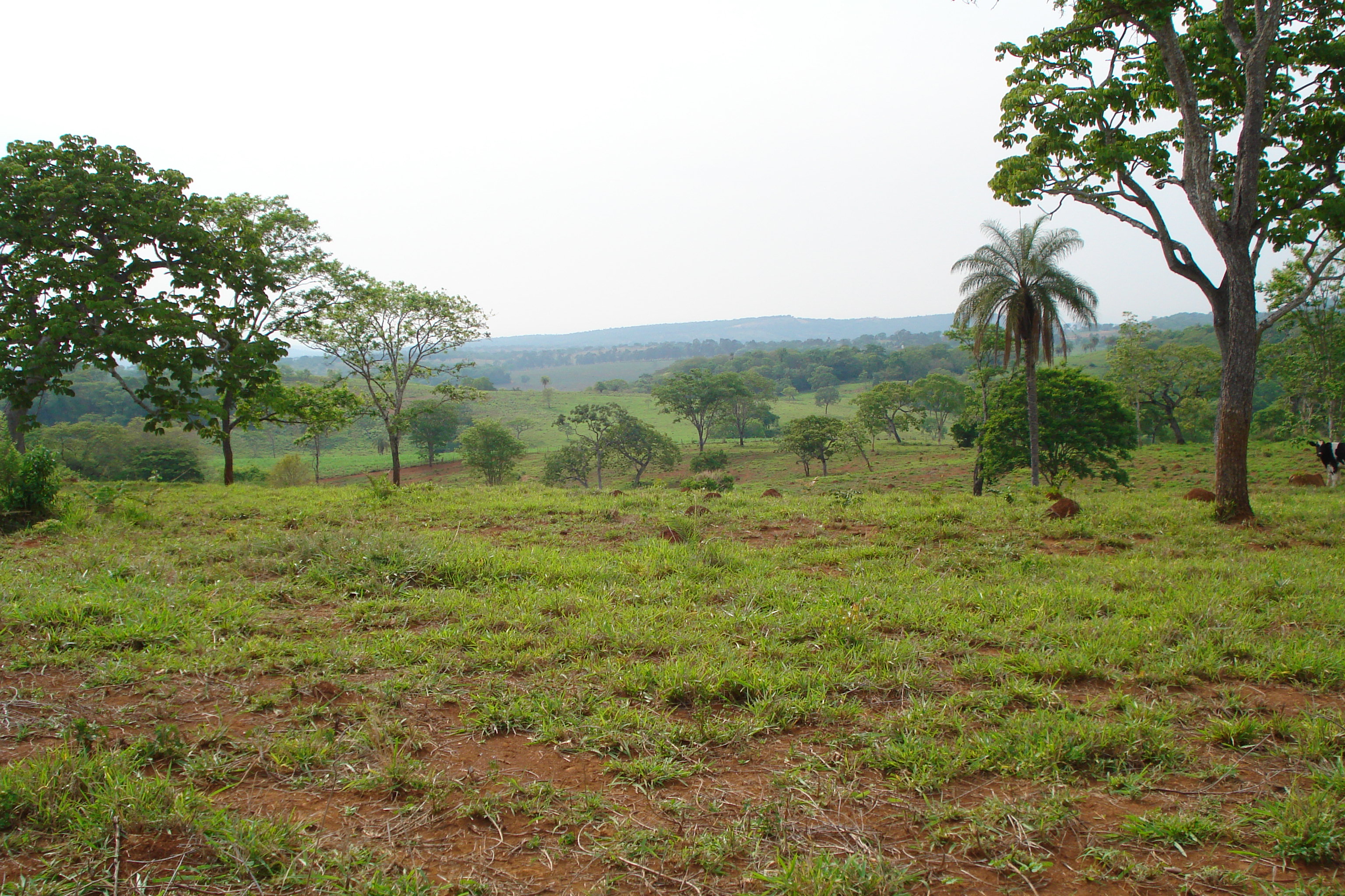 F-27 Fazenda 250ha