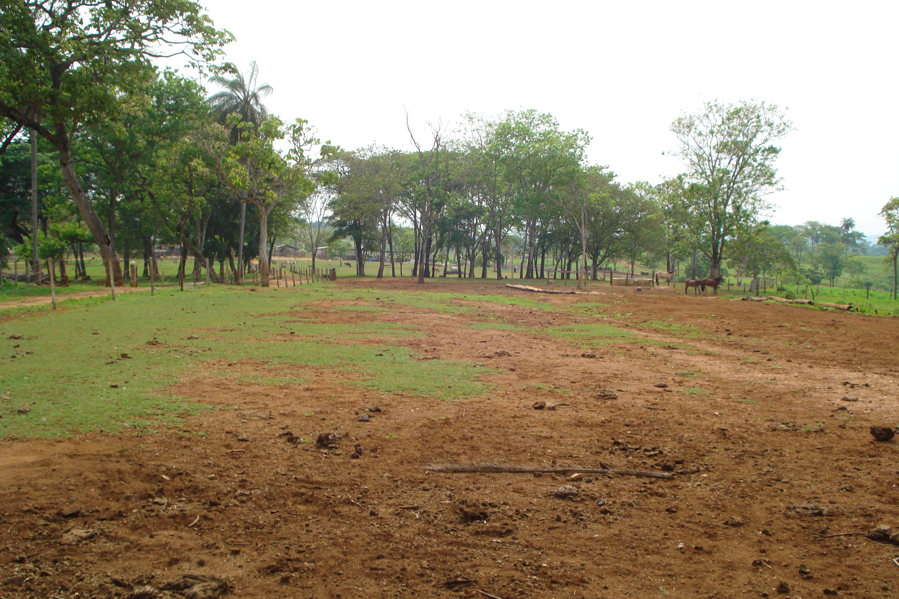 F-27 Fazenda 250ha