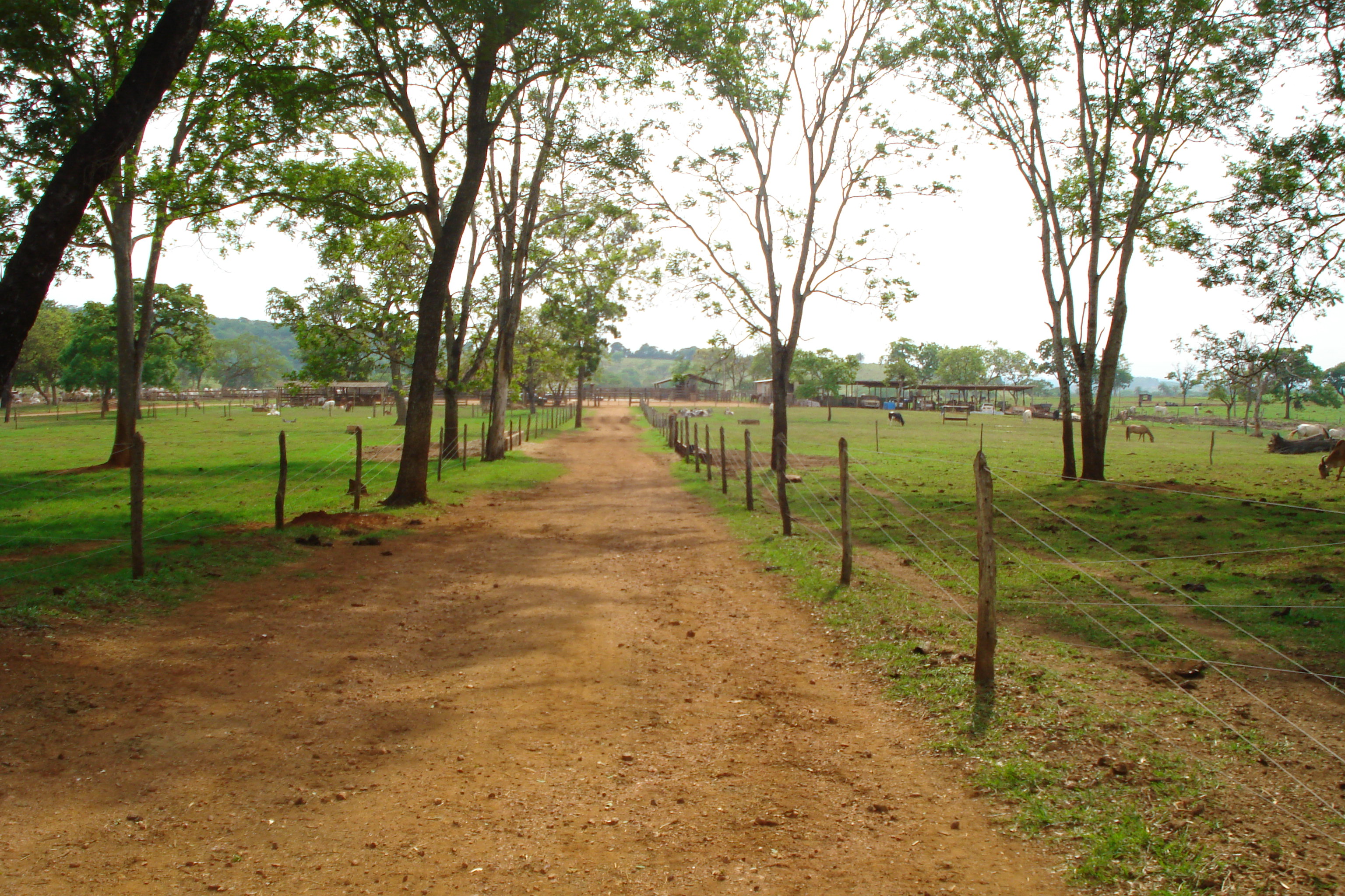 F-27 Fazenda 250ha