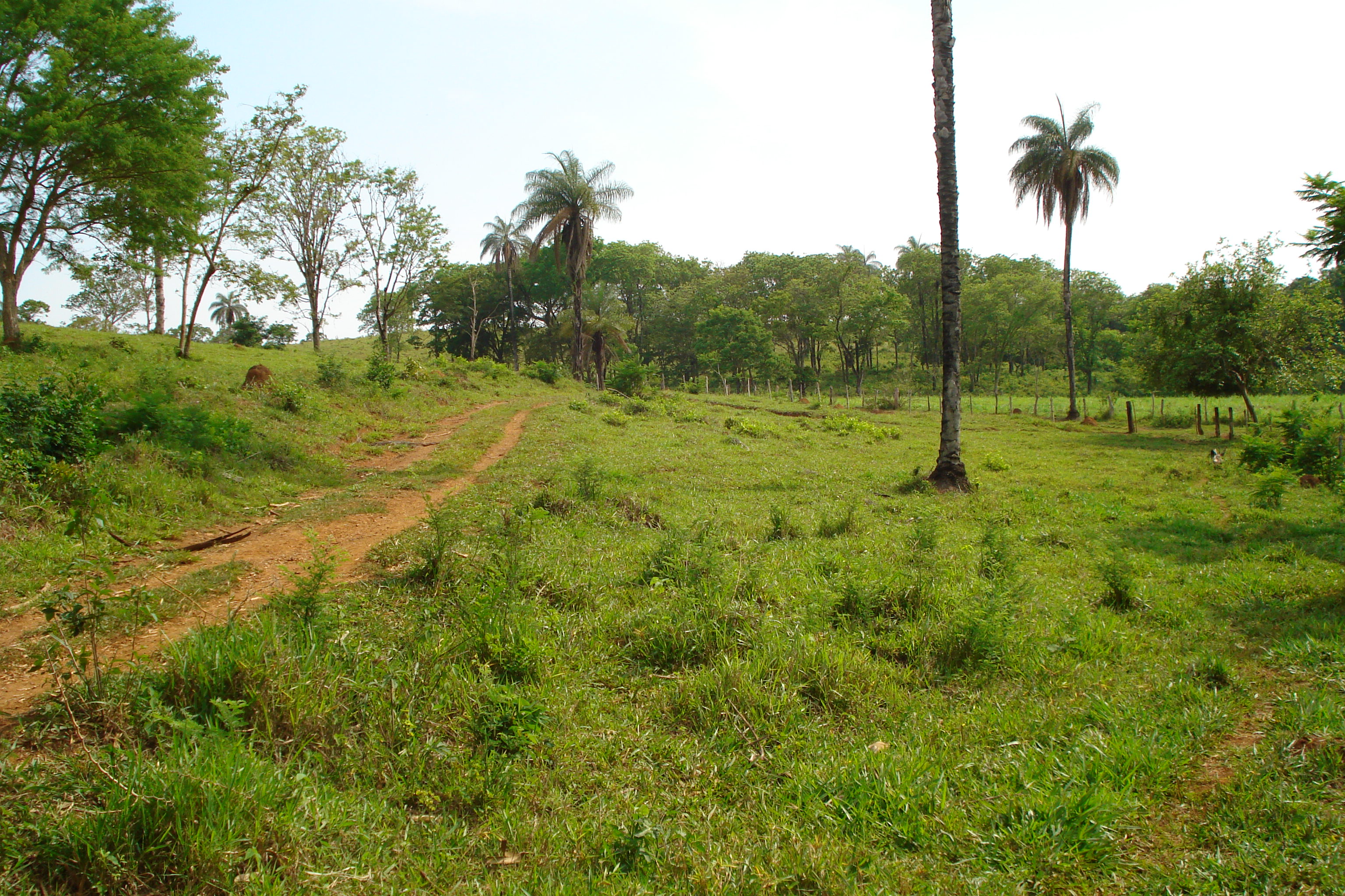 F-27 Fazenda 250ha