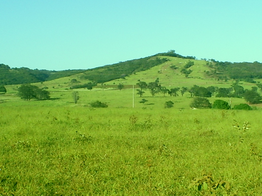 F-43  Fazenda 1903,997 ha