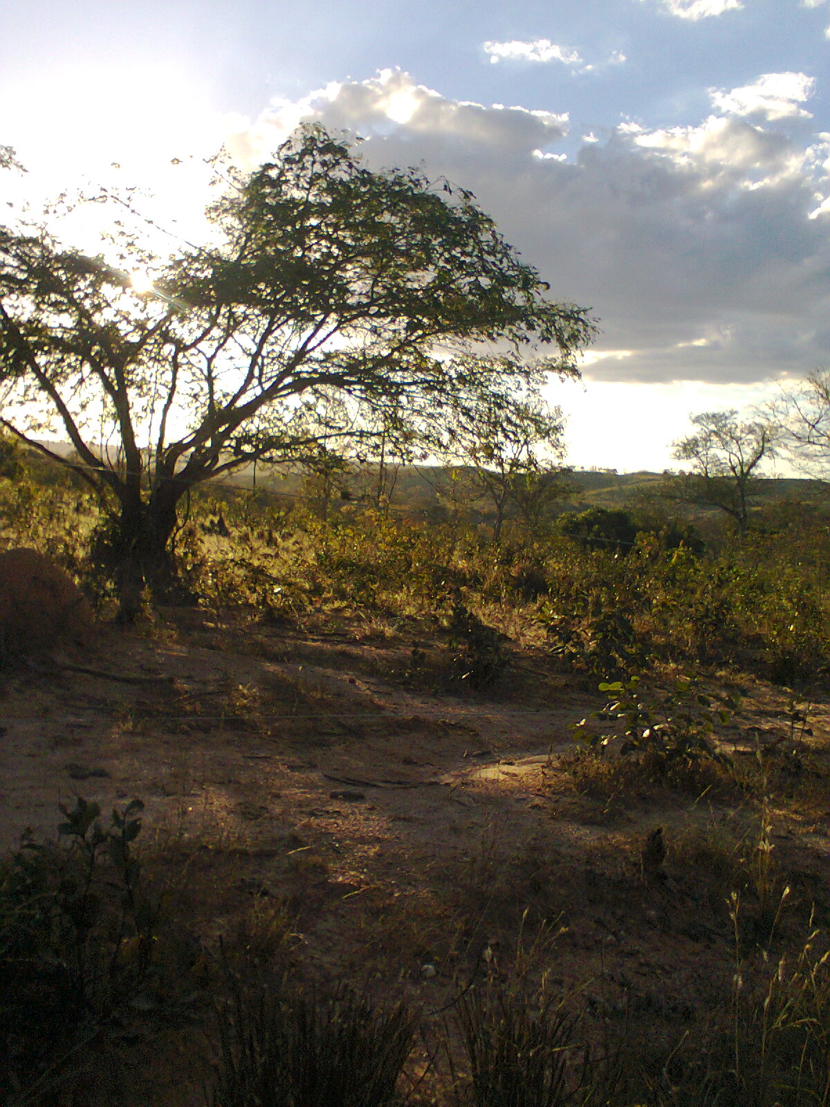 F-40 Fazenda 205 ha