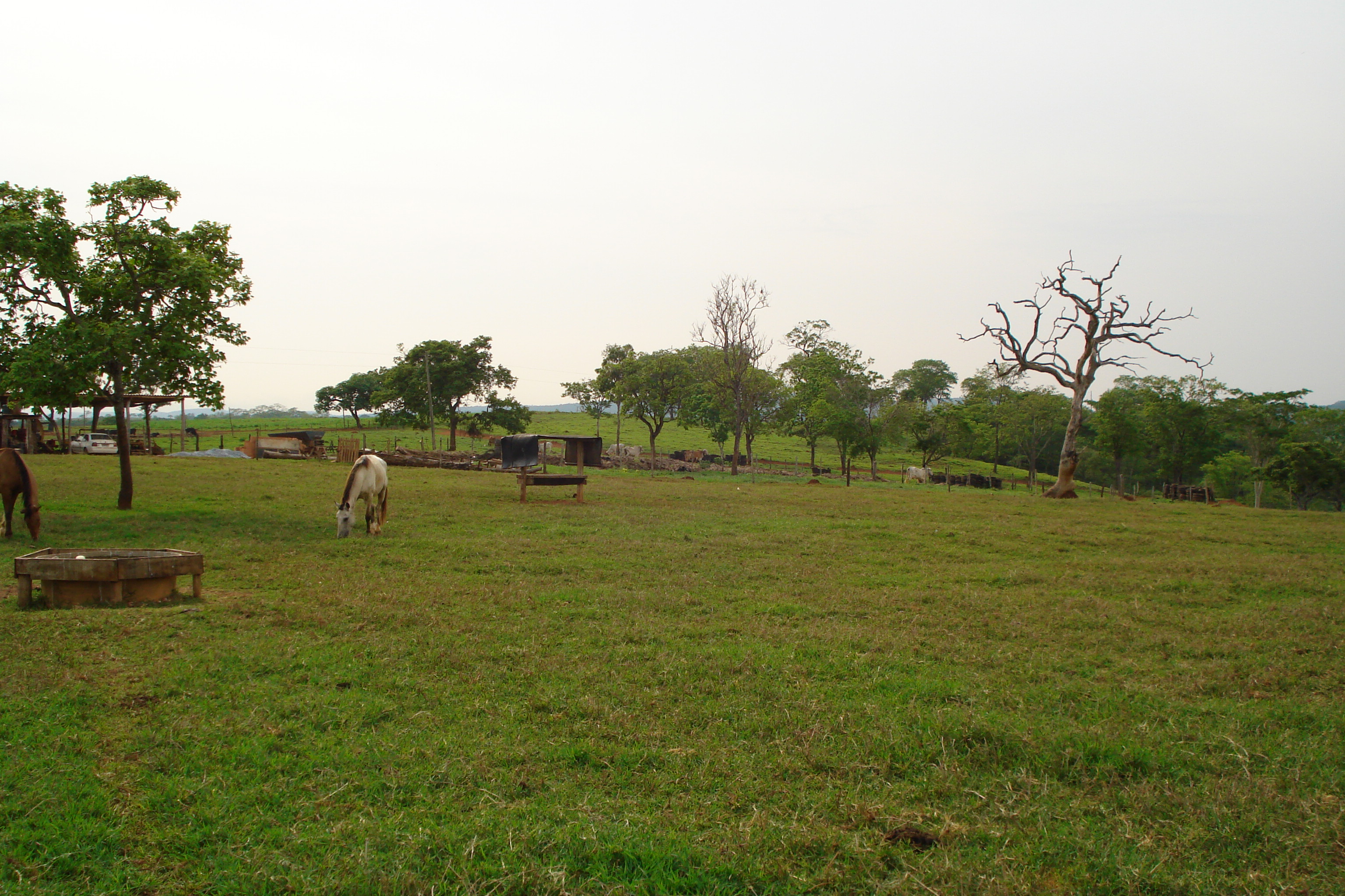 F- 41 Fazenda 250 ha Mocambeiro