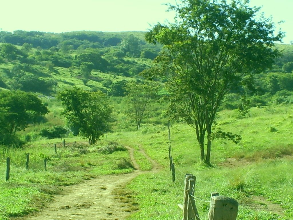 F-43  Fazenda 1903,997 ha