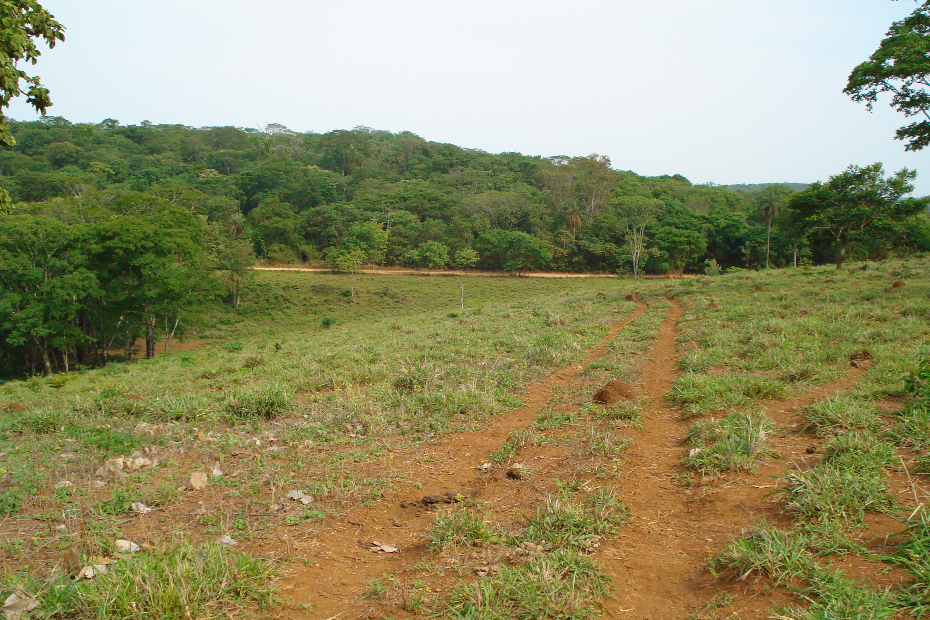 F- 41 Fazenda 250 ha Mocambeiro