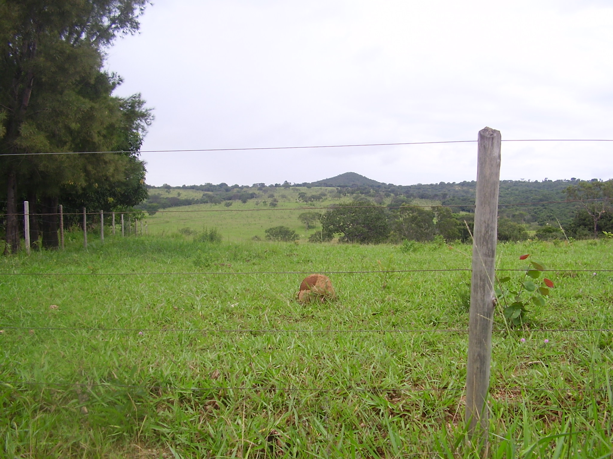 F-29 Fazenda 515 ha