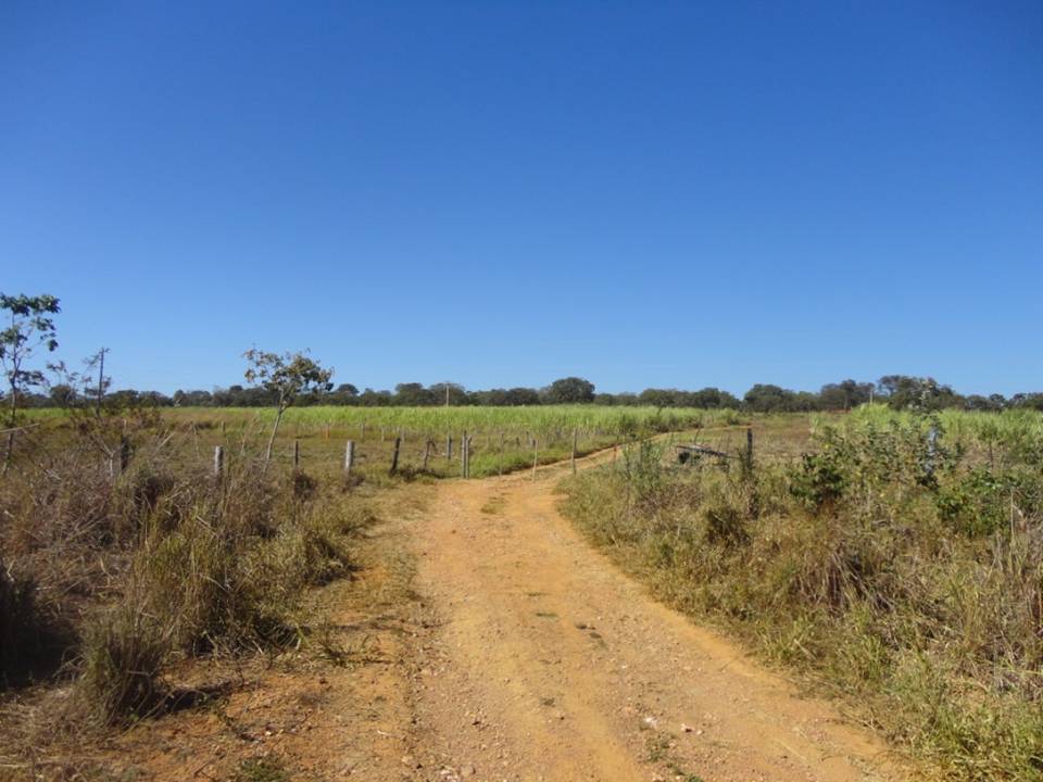 F-34 Fazenda 80 ha