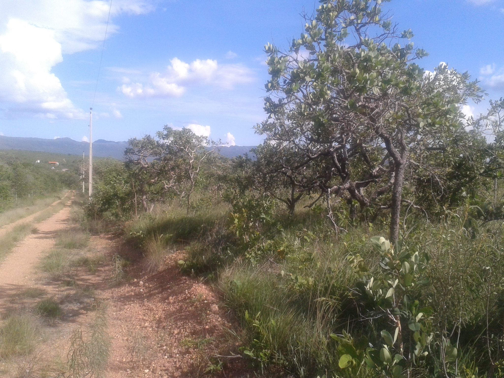 T- 02 Terreno 40.000m² Serra do Cipó