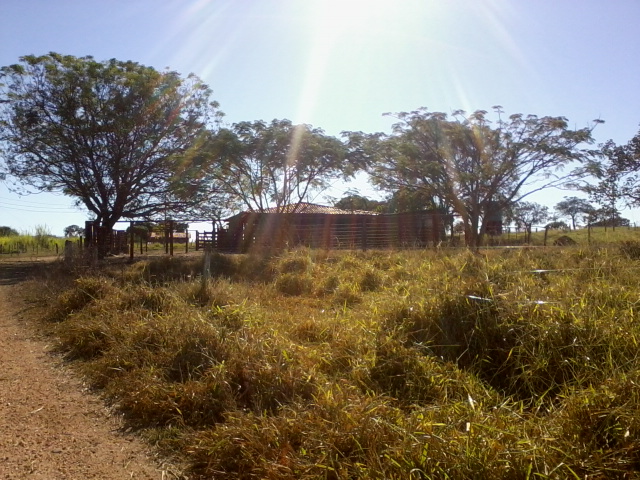 F-47 Fazenda 394 ha Cordisburgo