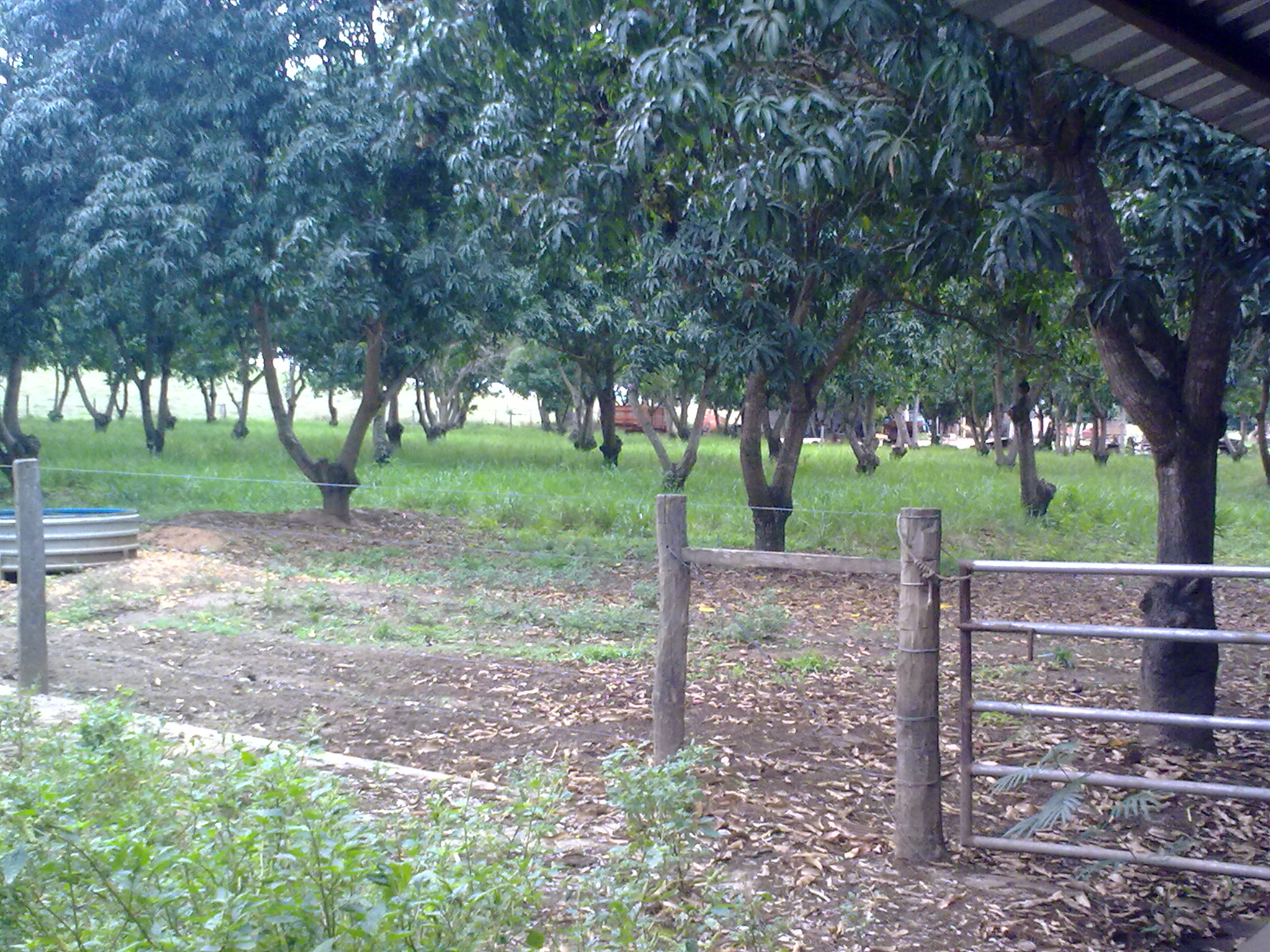 F-49 Fazenda 900 ha Corinto