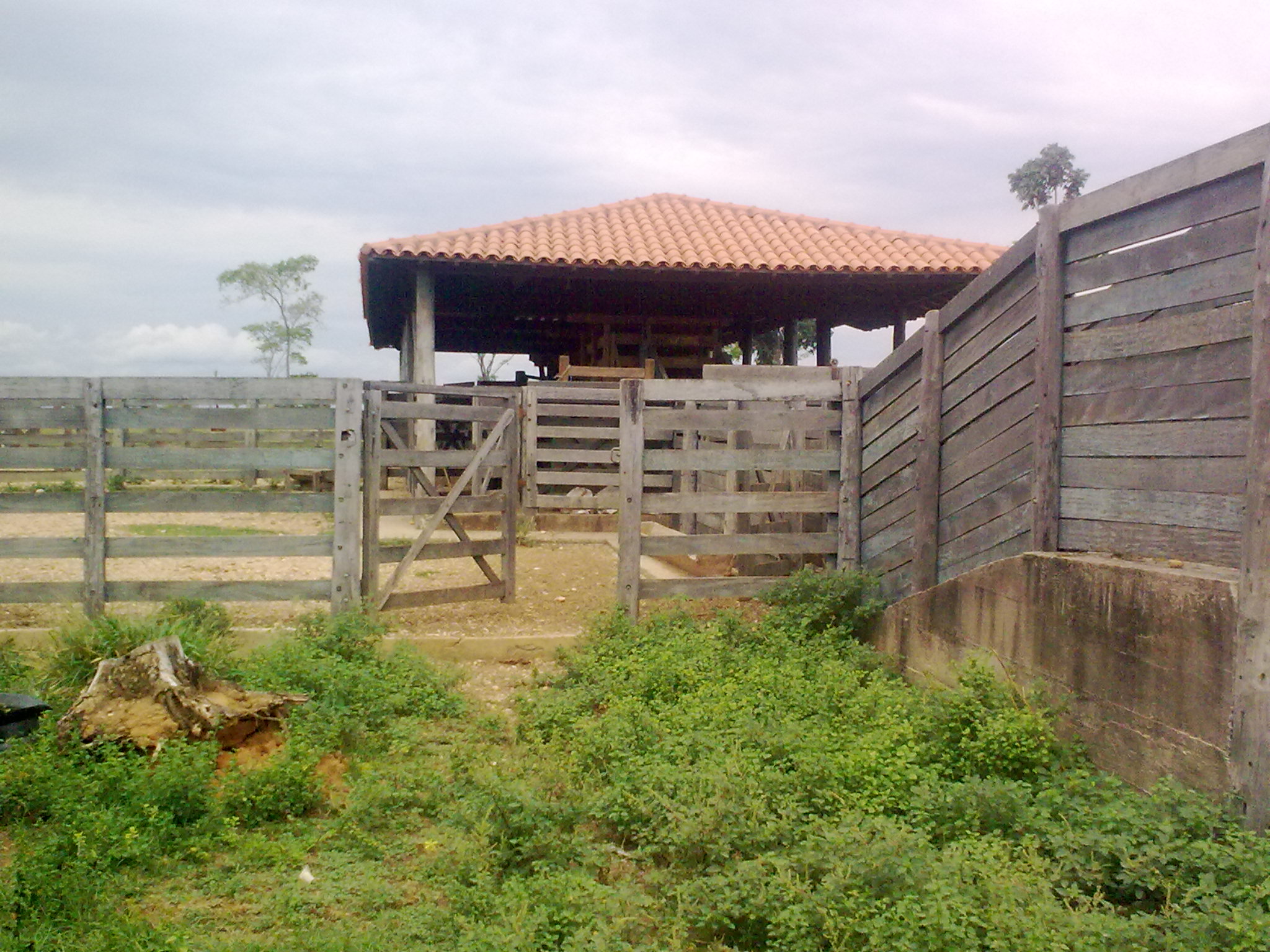 F-49 Fazenda 900 ha Corinto