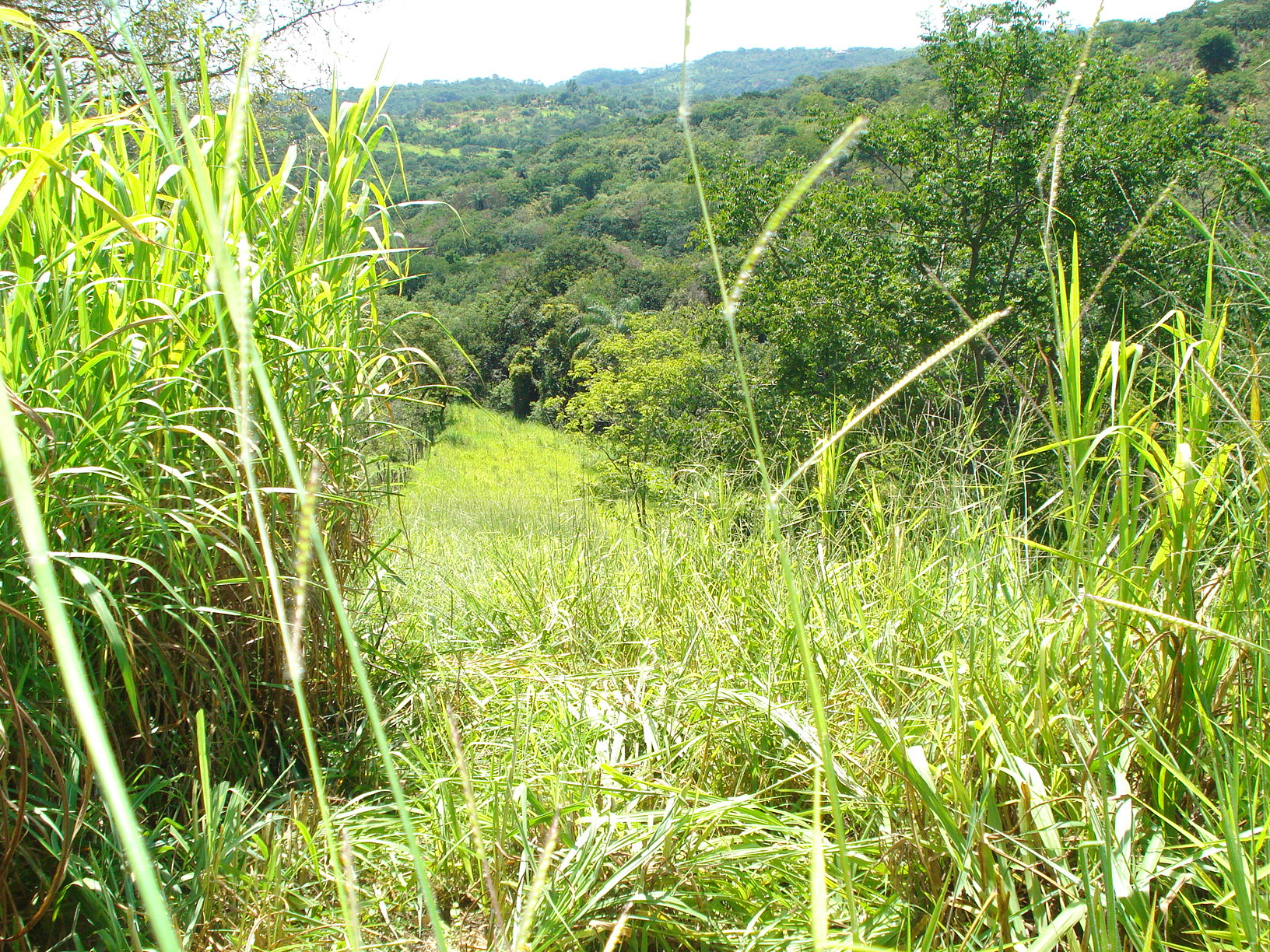 CH-14 CHÁCARA 5ª DAS FAZENDINHAS – 27.000M2