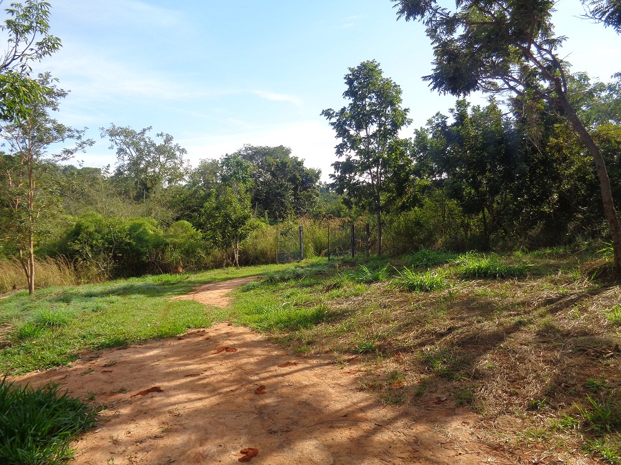 S-17 SITIO 4ha serra do cipo