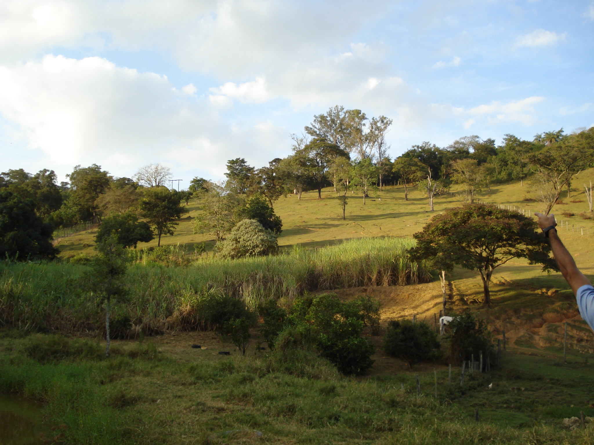 F-50 FAZENDA 11HA PEDRO LEOPOLDO