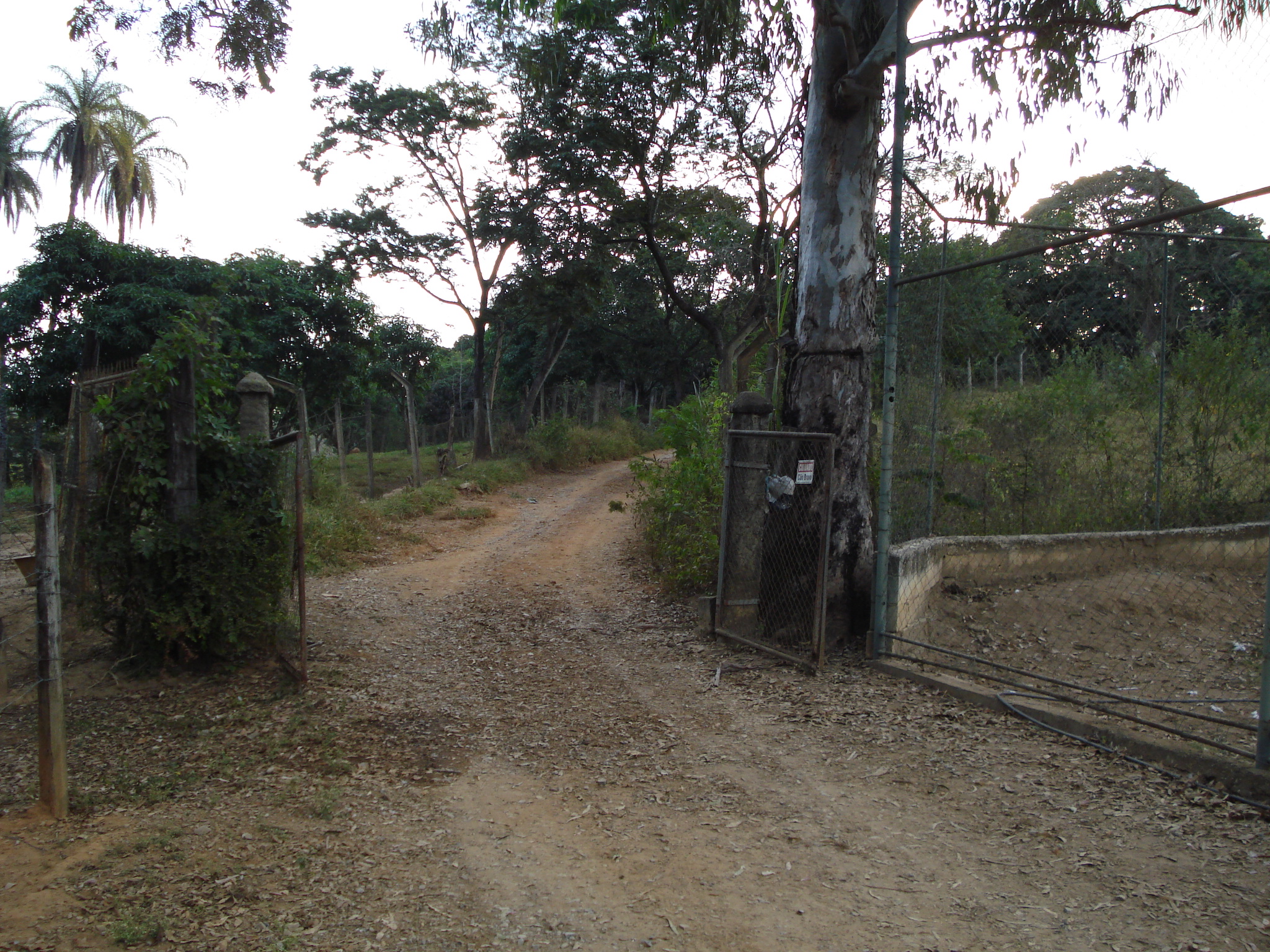 F-50 FAZENDA 11HA PEDRO LEOPOLDO