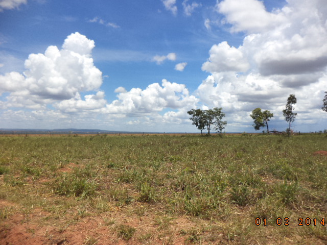 F – 52 FAZENDA 1.437HA BURITIZEIRO