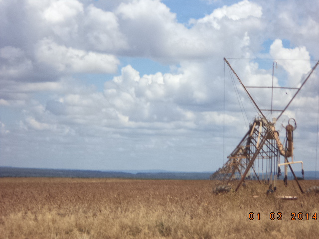 F – 52 FAZENDA 1.437HA BURITIZEIRO