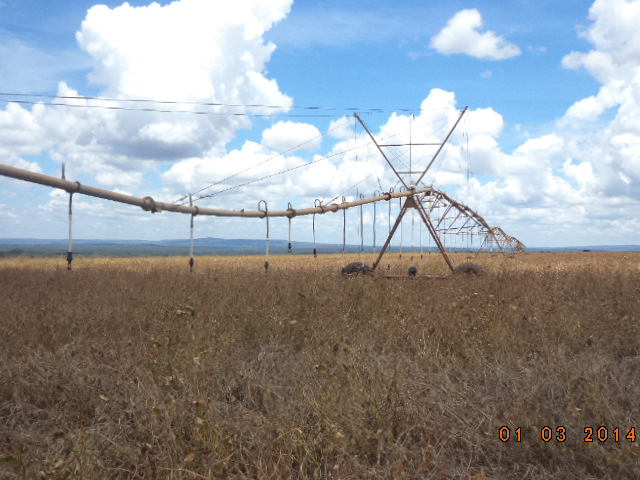 F – 52 FAZENDA 1.437HA BURITIZEIRO