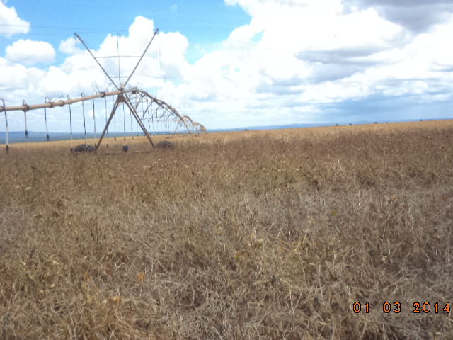 F – 52 FAZENDA 1.437HA BURITIZEIRO