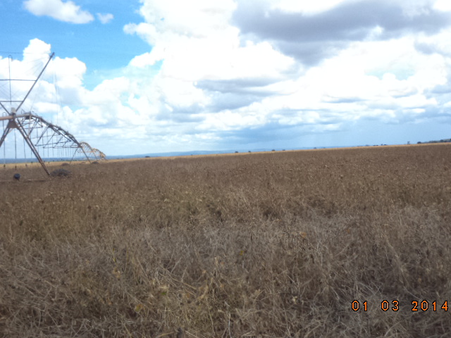 F – 52 FAZENDA 1.437HA BURITIZEIRO