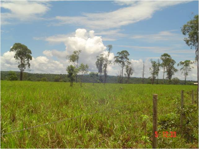 F – 53 FAZENDA 1.242HA CORINTO